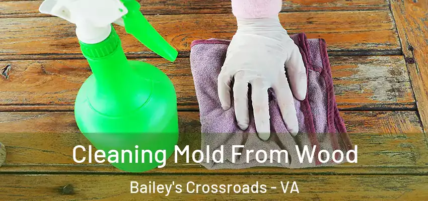 Cleaning Mold From Wood Bailey's Crossroads - VA