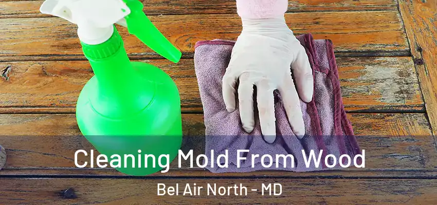 Cleaning Mold From Wood Bel Air North - MD