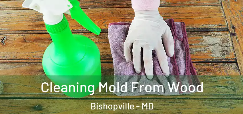 Cleaning Mold From Wood Bishopville - MD