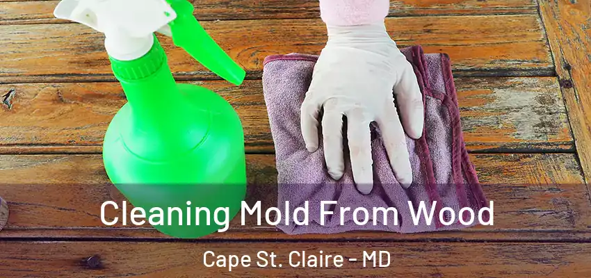 Cleaning Mold From Wood Cape St. Claire - MD