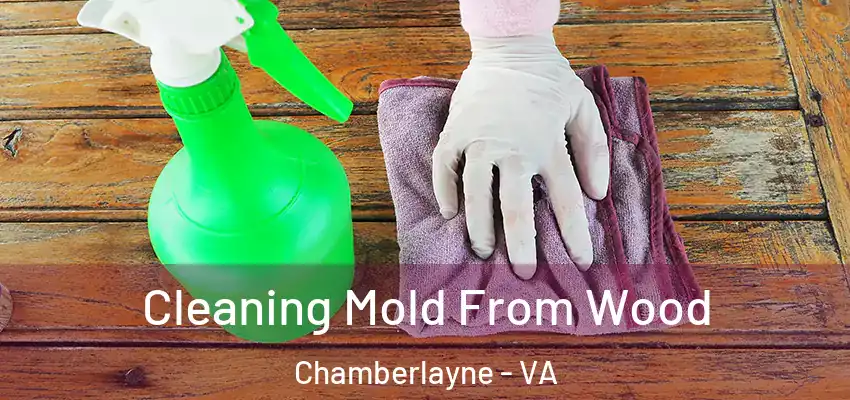 Cleaning Mold From Wood Chamberlayne - VA