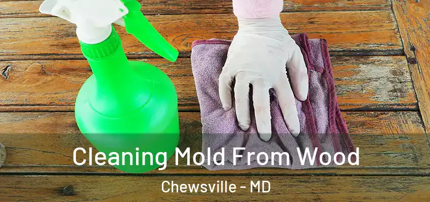 Cleaning Mold From Wood Chewsville - MD