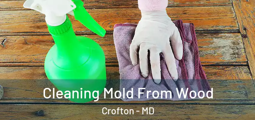 Cleaning Mold From Wood Crofton - MD