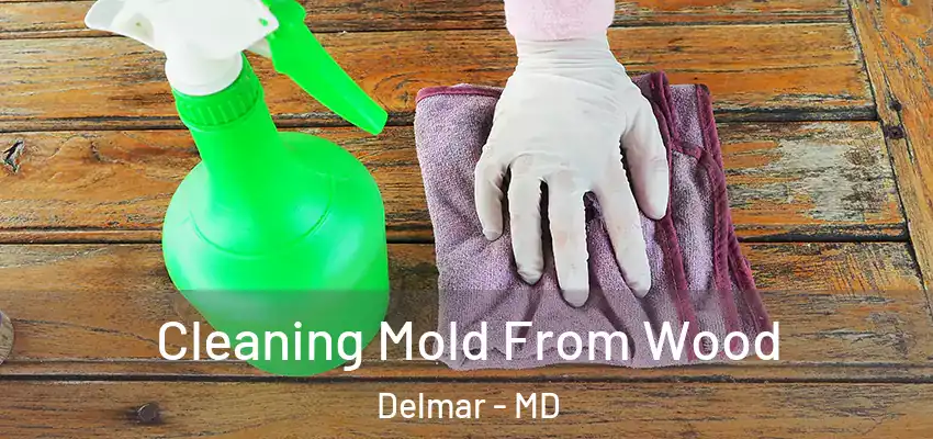 Cleaning Mold From Wood Delmar - MD