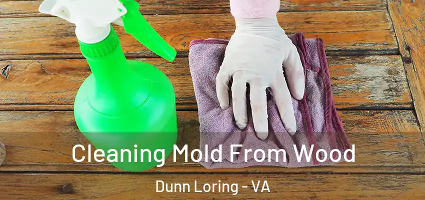 Cleaning Mold From Wood Dunn Loring - VA