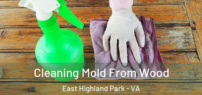 Cleaning Mold From Wood East Highland Park - VA