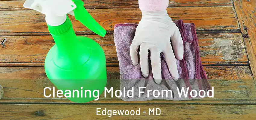  Cleaning Mold From Wood Edgewood - MD