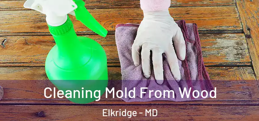 Cleaning Mold From Wood Elkridge - MD