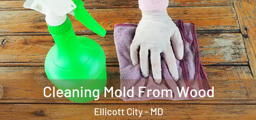 Cleaning Mold From Wood Ellicott City - MD