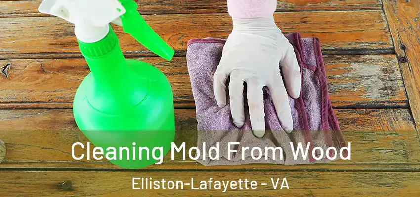 Cleaning Mold From Wood Elliston-Lafayette - VA