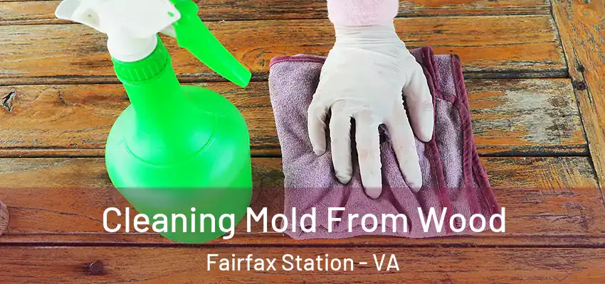 Cleaning Mold From Wood Fairfax Station - VA
