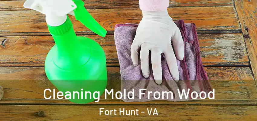 Cleaning Mold From Wood Fort Hunt - VA