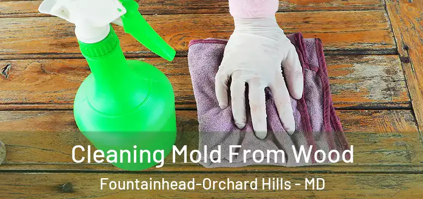  Cleaning Mold From Wood Fountainhead-Orchard Hills - MD