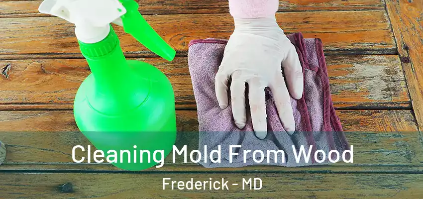  Cleaning Mold From Wood Frederick - MD