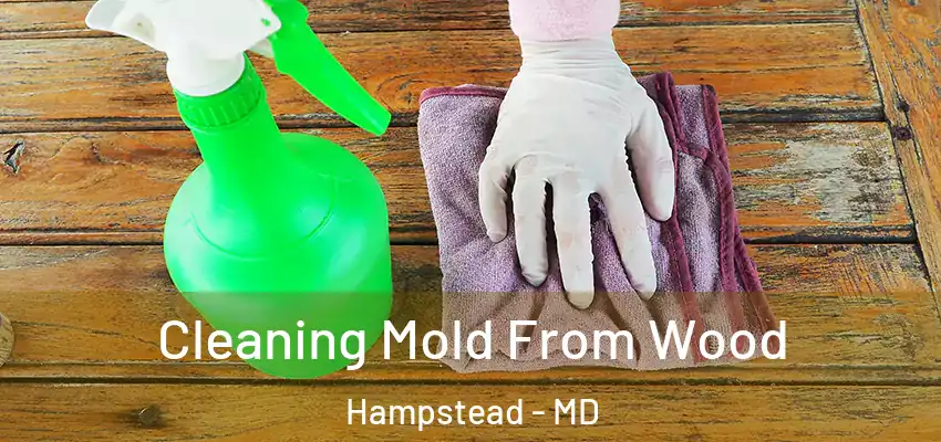  Cleaning Mold From Wood Hampstead - MD