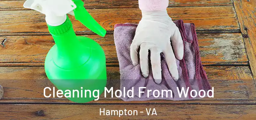 Cleaning Mold From Wood Hampton - VA