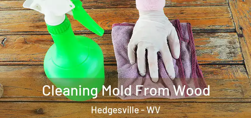 Cleaning Mold From Wood Hedgesville - WV