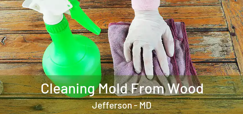 Cleaning Mold From Wood Jefferson - MD