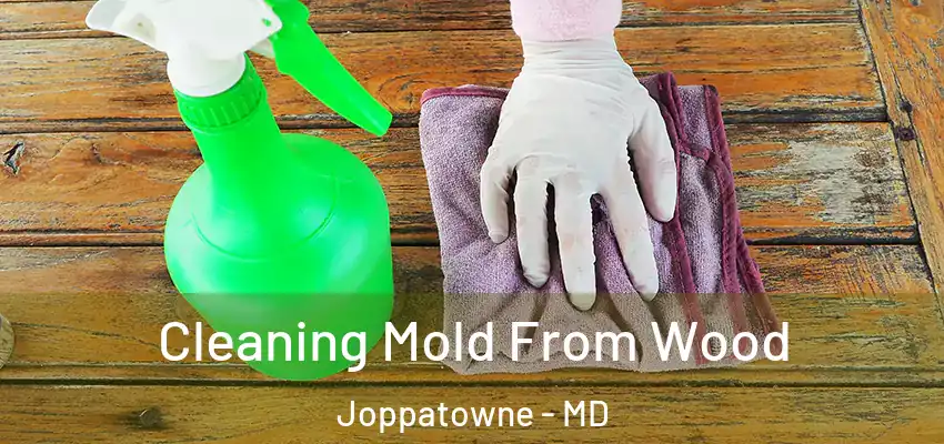  Cleaning Mold From Wood Joppatowne - MD