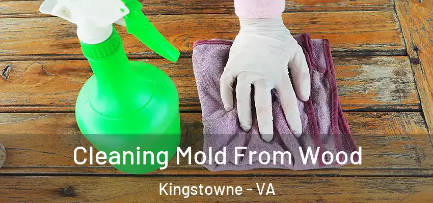 Cleaning Mold From Wood Kingstowne - VA