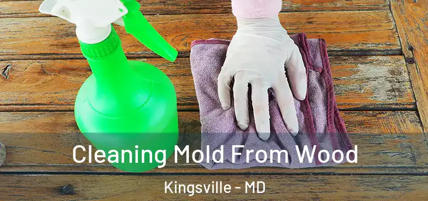 Cleaning Mold From Wood Kingsville - MD