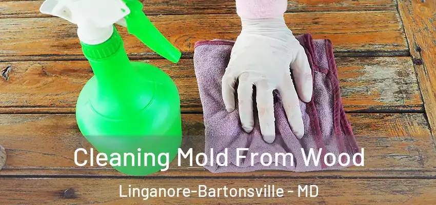 Cleaning Mold From Wood Linganore-Bartonsville - MD