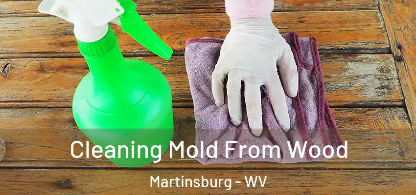  Cleaning Mold From Wood Martinsburg - WV