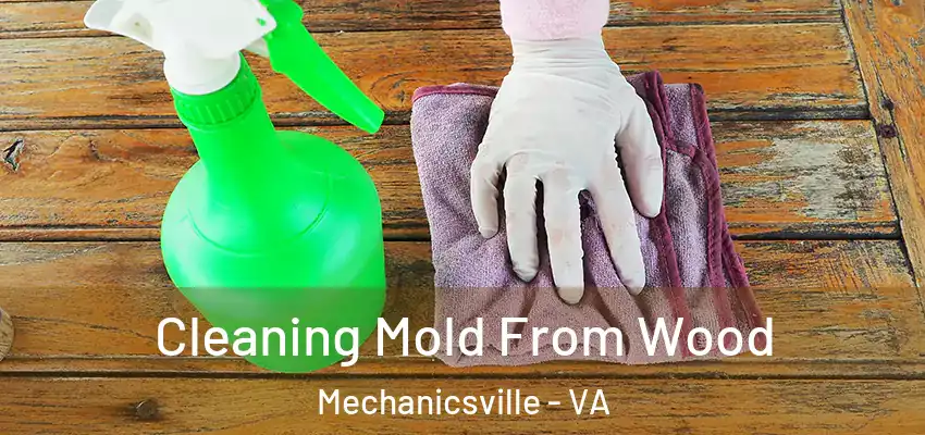 Cleaning Mold From Wood Mechanicsville - VA