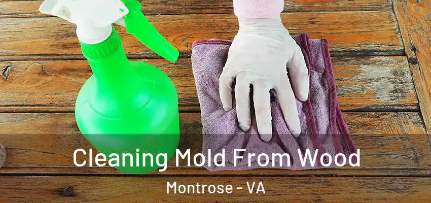 Cleaning Mold From Wood Montrose - VA