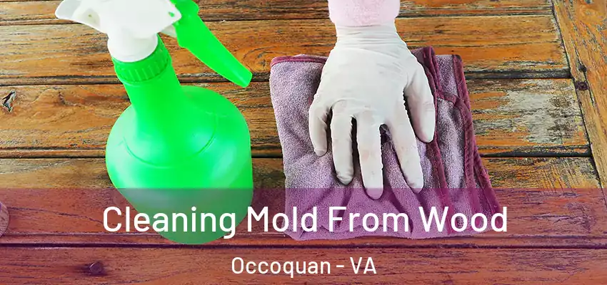 Cleaning Mold From Wood Occoquan - VA