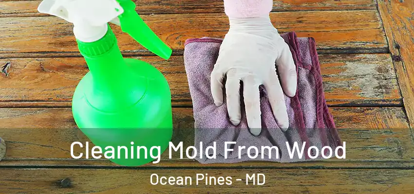Cleaning Mold From Wood Ocean Pines - MD