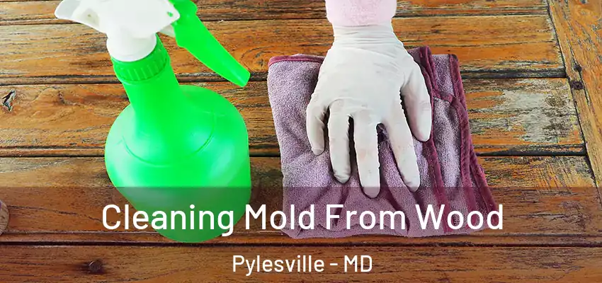 Cleaning Mold From Wood Pylesville - MD