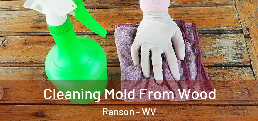 Cleaning Mold From Wood Ranson - WV