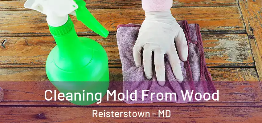 Cleaning Mold From Wood Reisterstown - MD