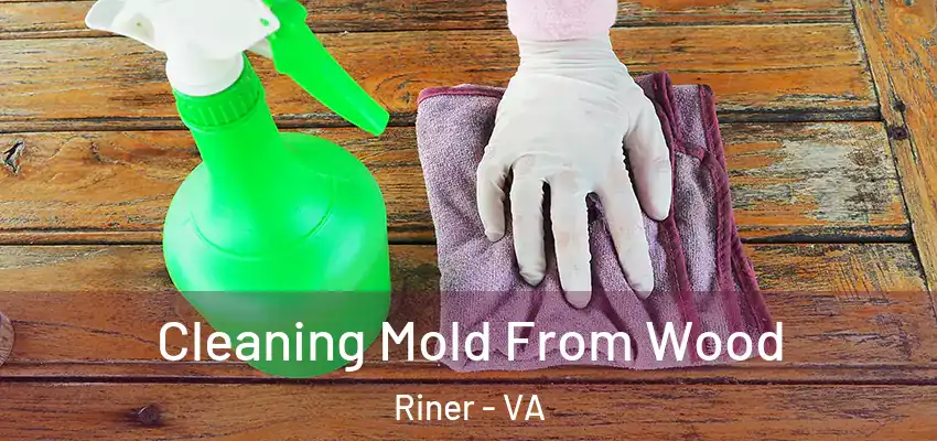 Cleaning Mold From Wood Riner - VA