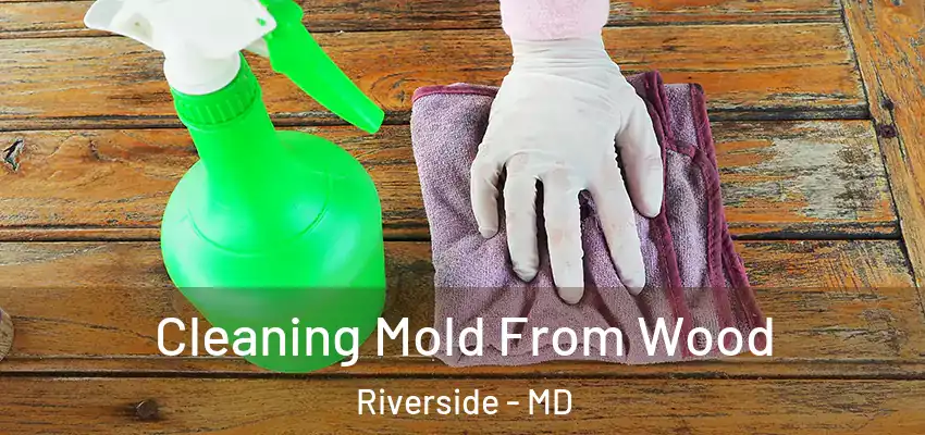  Cleaning Mold From Wood Riverside - MD