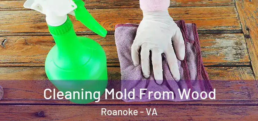  Cleaning Mold From Wood Roanoke - VA