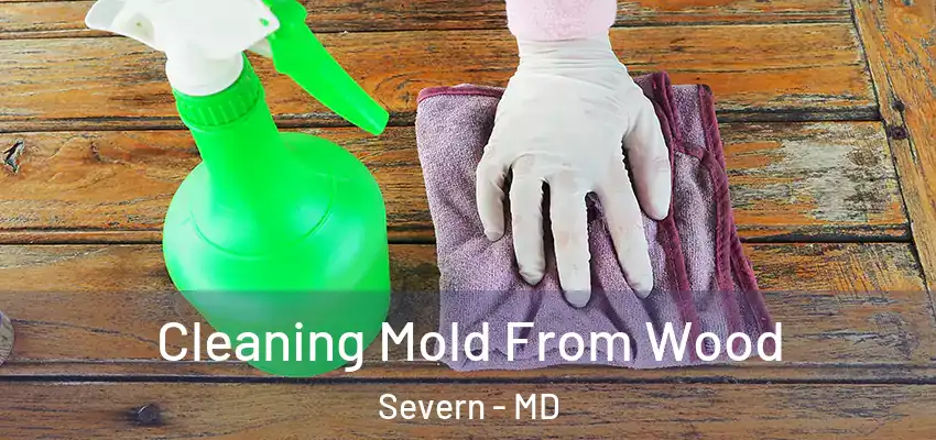  Cleaning Mold From Wood Severn - MD