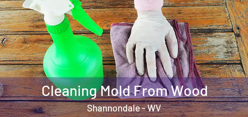 Cleaning Mold From Wood Shannondale - WV
