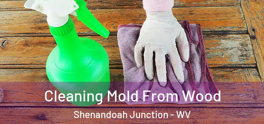 Cleaning Mold From Wood Shenandoah Junction - WV