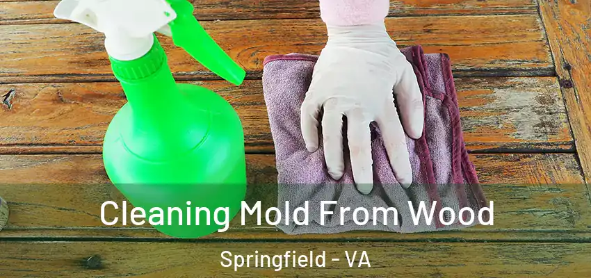 Cleaning Mold From Wood Springfield - VA
