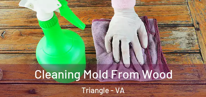 Cleaning Mold From Wood Triangle - VA