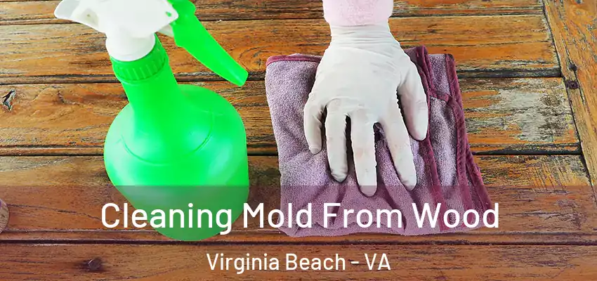 Cleaning Mold From Wood Virginia Beach - VA