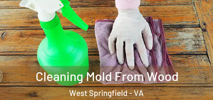 Cleaning Mold From Wood West Springfield - VA