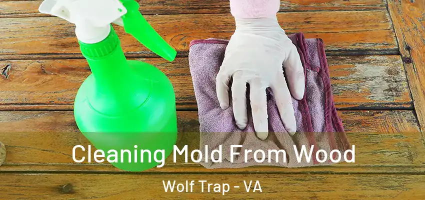Cleaning Mold From Wood Wolf Trap - VA