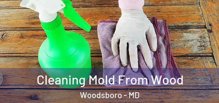 Cleaning Mold From Wood Woodsboro - MD