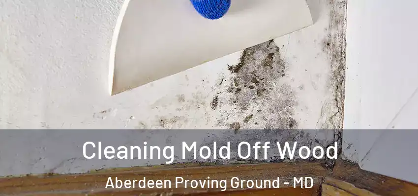 Cleaning Mold Off Wood Aberdeen Proving Ground - MD