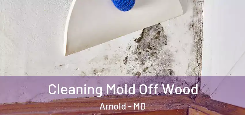 Cleaning Mold Off Wood Arnold - MD