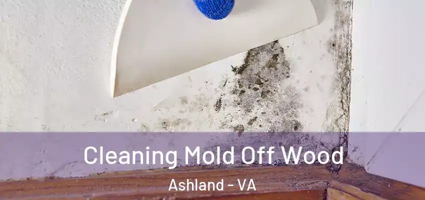 Cleaning Mold Off Wood Ashland - VA