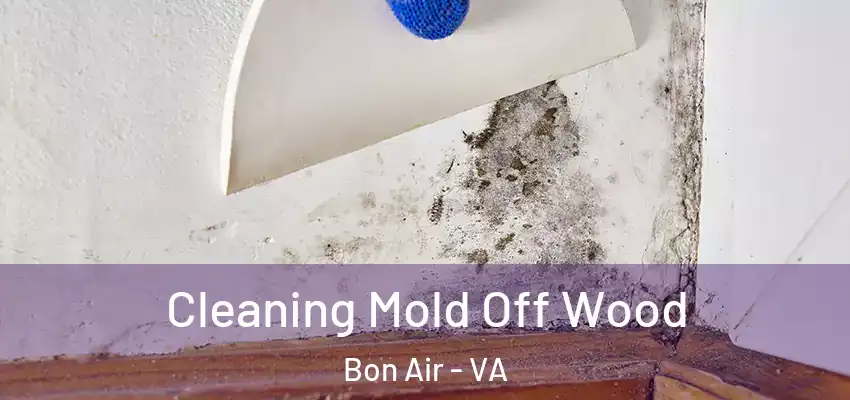 Cleaning Mold Off Wood Bon Air - VA